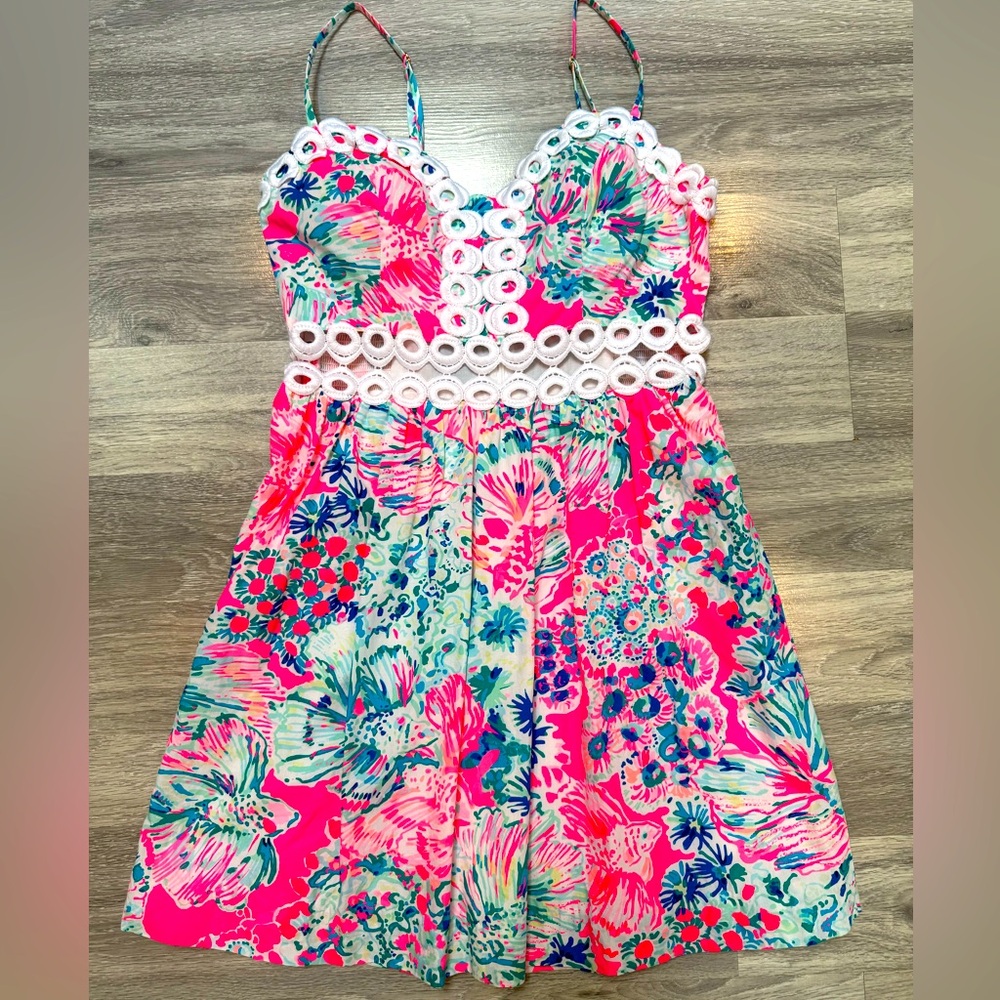 🌸 Lilly Pulitzer Briella Dress | Size 2 | Nosey Posey Print